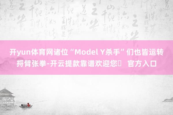 开yun体育网诸位“Model Y杀手”们也皆运转捋臂张拳-开云提款靠谱欢迎您✅ 官方入口